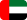 UAE Flag