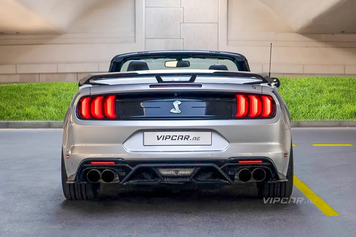 Ford-Mustang-Silver-Back