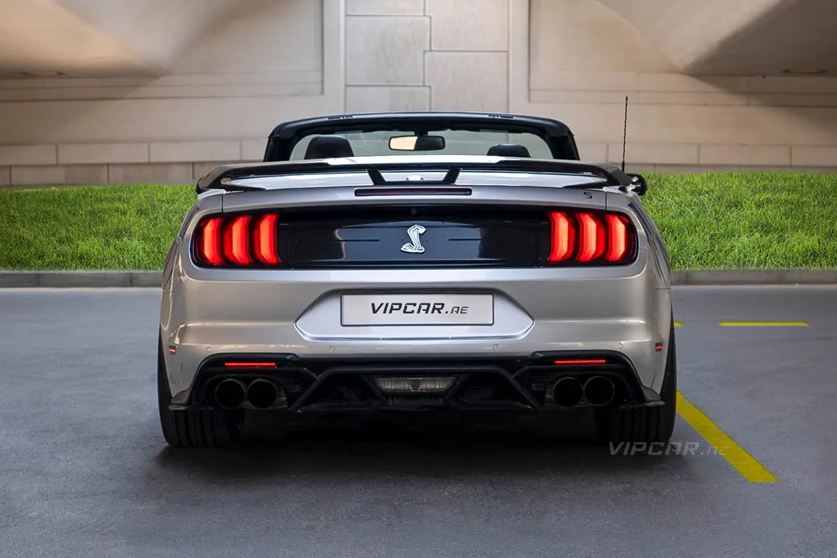 Ford-Mustang-Silver-Back